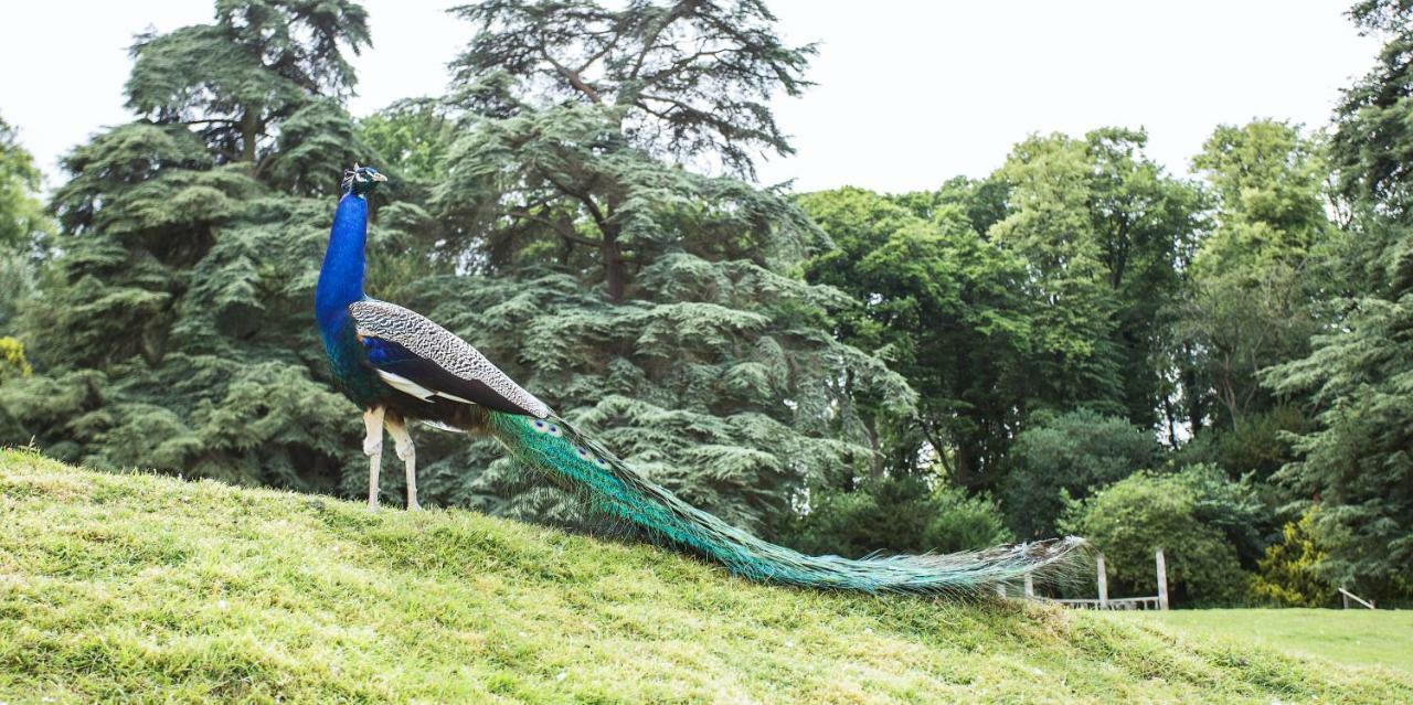 Pendley Manor Otel Tring Dış mekan fotoğraf